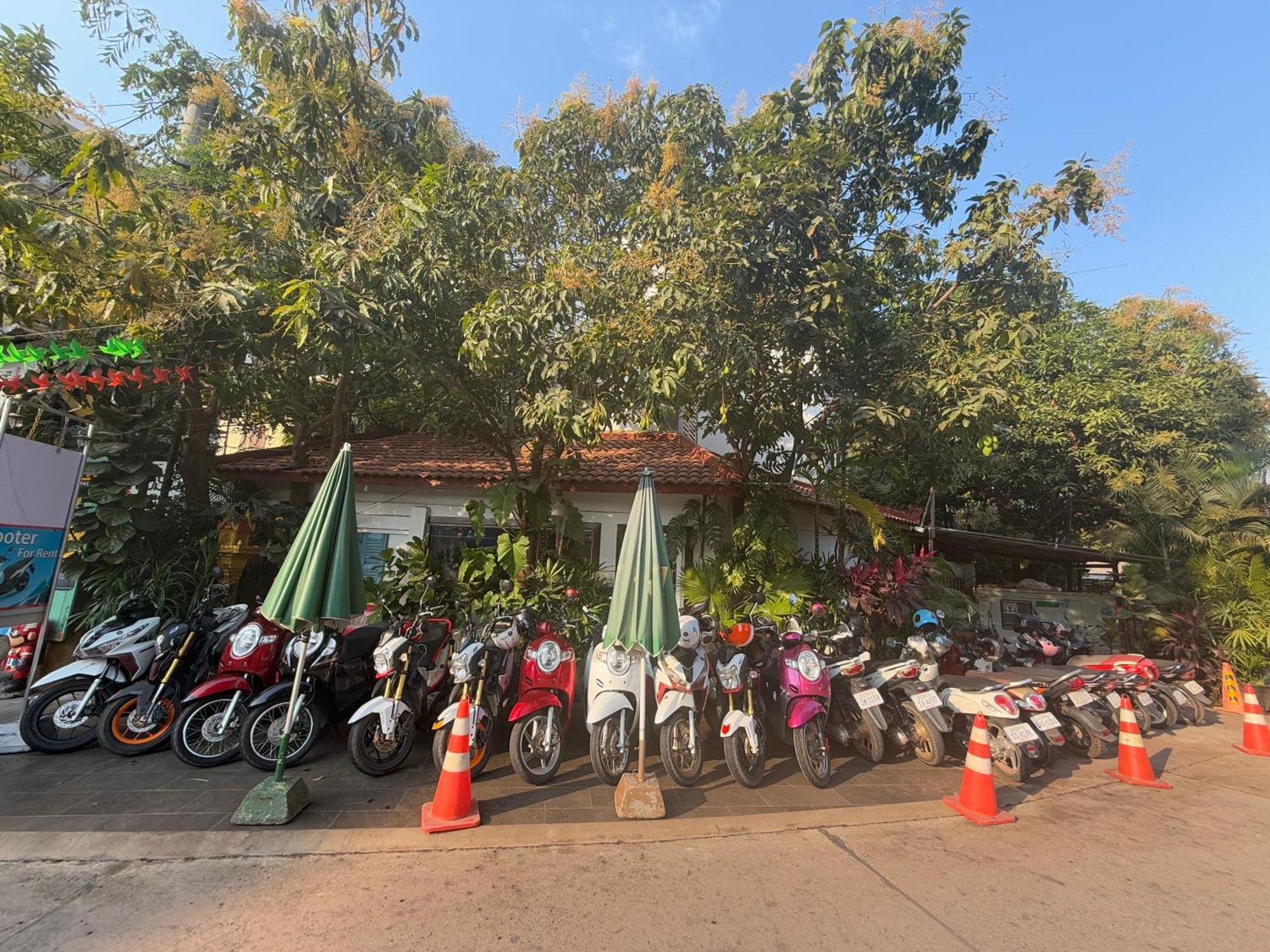 Asanak D'Angkor Boutique Hotel Siem Reap Buitenkant foto